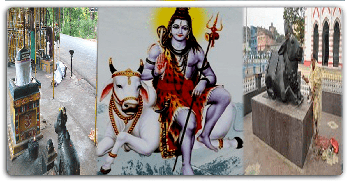 नंदी कैसे बने भगवान शिव के वाहन?? शिव के इस आशीर्वाद से प्रकट हुए नंदी, जानिए।