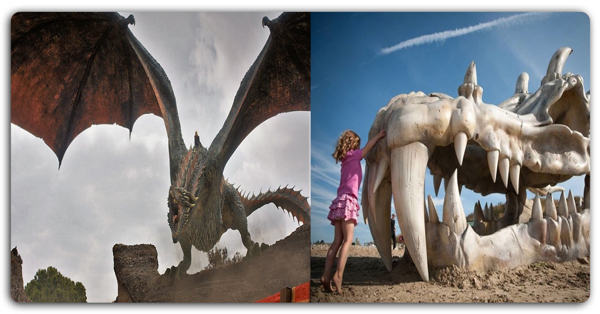 ब्रिटेन में समुद्र तट पर रेत में धंसी मिली ‘ड्रैगन खोपड़ी’, जानें क्या है इसका राज
